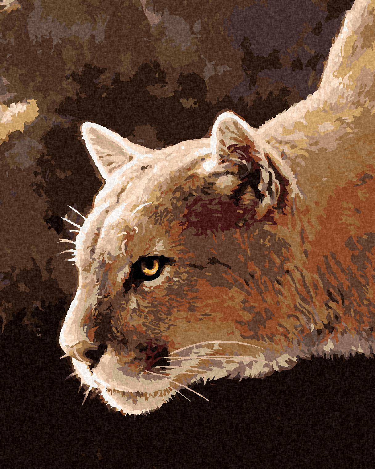zuty Malování podle čísel - PUMA AMERICKÁ (JOE HAUTMAN) - Rozměr: 40x50 cm, Rámování: Varianta: vypnuté plátno na rám - obrázek 1