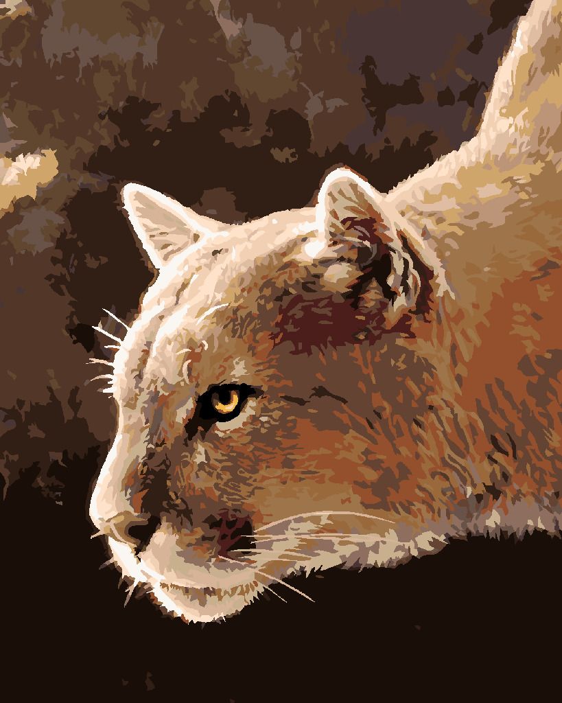 zuty Malování podle čísel - PUMA AMERICKÁ (JOE HAUTMAN) - Rozměr: 40x50 cm, Rámování: Varianta: vypnuté plátno na rám - obrázek 6