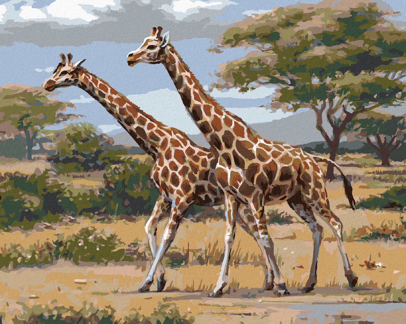 zuty Malování podle čísel - AFRICKÉ SAFARI ŽIRAFY (JOE HAUTMAN) - Rozměr: 40x50 cm, Rámování: Varianta: vypnuté plátno na rám - obrázek 1