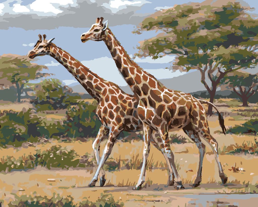 zuty Malování podle čísel - AFRICKÉ SAFARI ŽIRAFY (JOE HAUTMAN) - Rozměr: 40x50 cm, Rámování: Varianta: vypnuté plátno na rám - obrázek 4