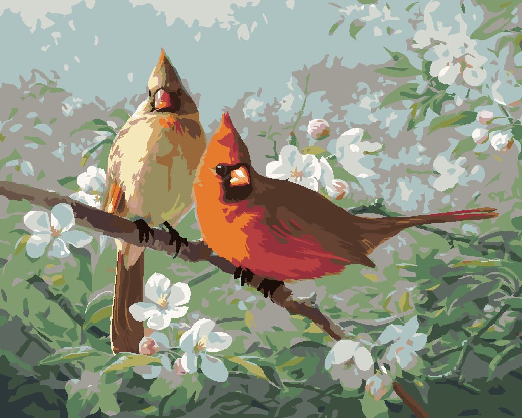 zuty Malování podle čísel - PTÁK KARDINÁL A BÍLE ROZKVETLÁ VĚTEV (JOE HAUTMAN) - Rozměr: 40x50 cm, Rámování: Varianta: vypnuté plátno na rám - obrázek 3