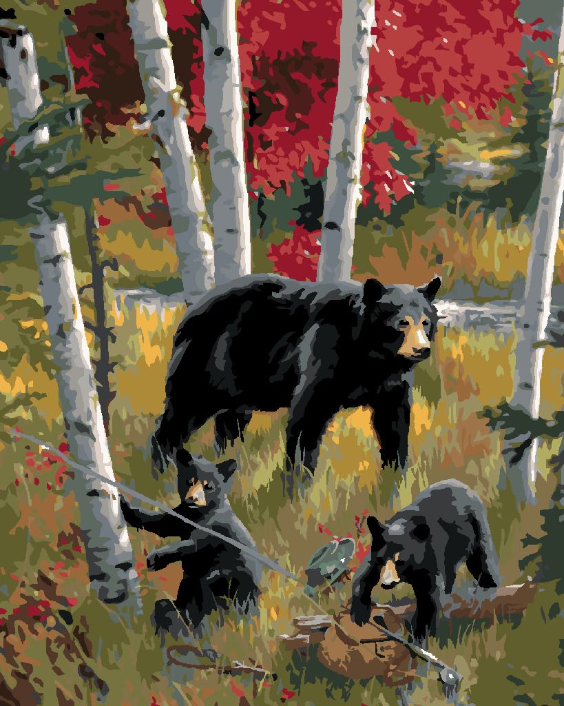 zuty Malování podle čísel – ČERNÝ MEDVĚD S MLAĎATY A BŘÍZY (JOE HAUTMAN) - Rozměr: 40x50 cm, Rámování: Varianta: bez rámu a bez vypnutí plátna - obrázek 8
