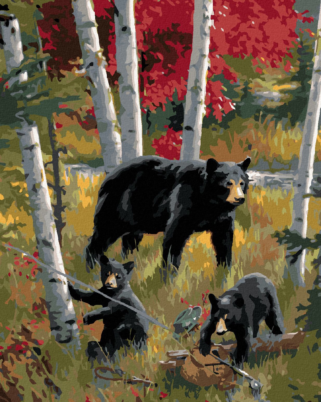 zuty Malování podle čísel – ČERNÝ MEDVĚD S MLAĎATY A BŘÍZY (JOE HAUTMAN) - Rozměr: 40x50 cm, Rámování: Varianta: vypnuté plátno na rám - obrázek 1