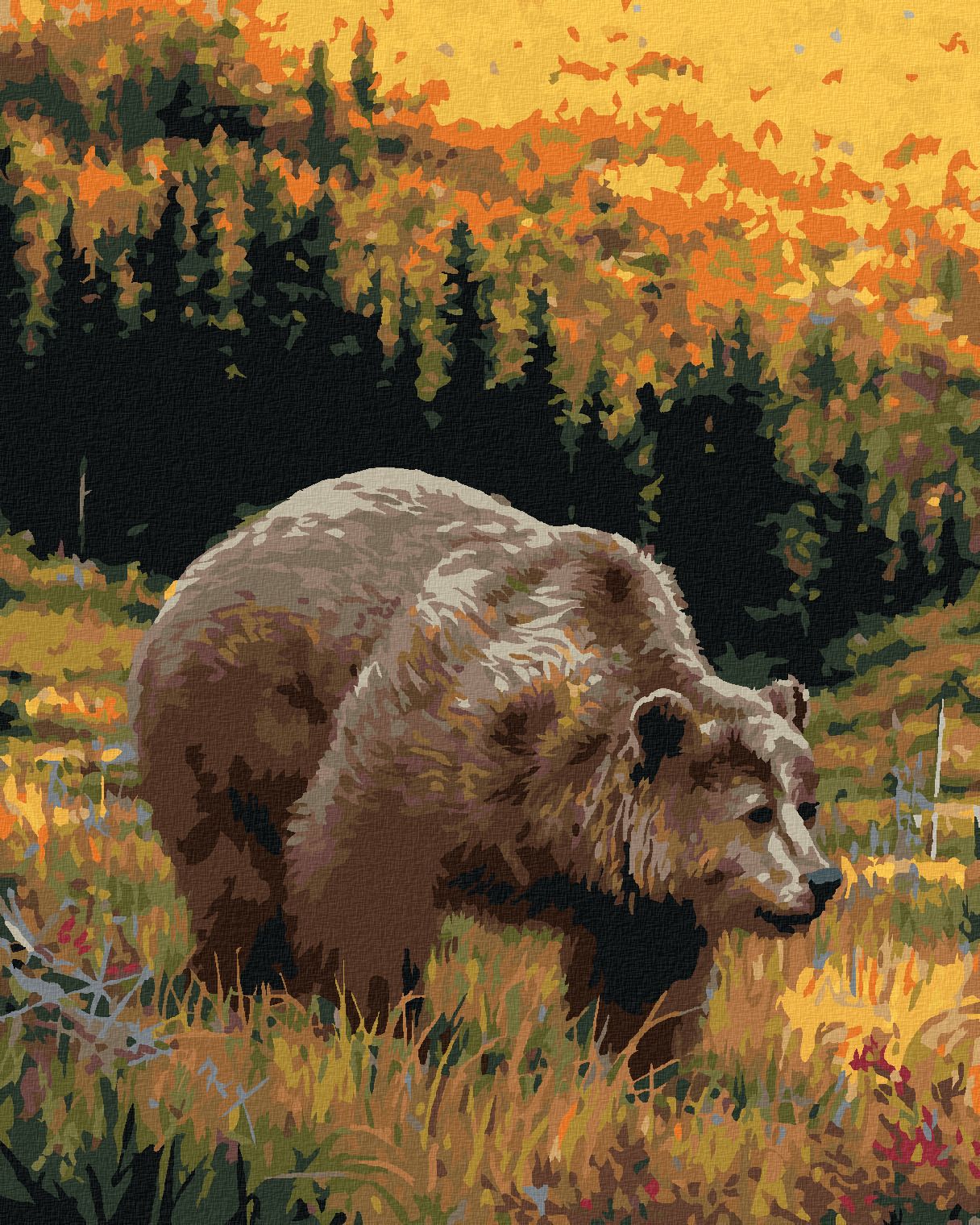 zuty Malování podle čísel - MEDVĚD A LES (JOE HAUTMAN) - Rozměr: 40x50 cm, Rámování: Varianta: vypnuté plátno na rám - obrázek 1