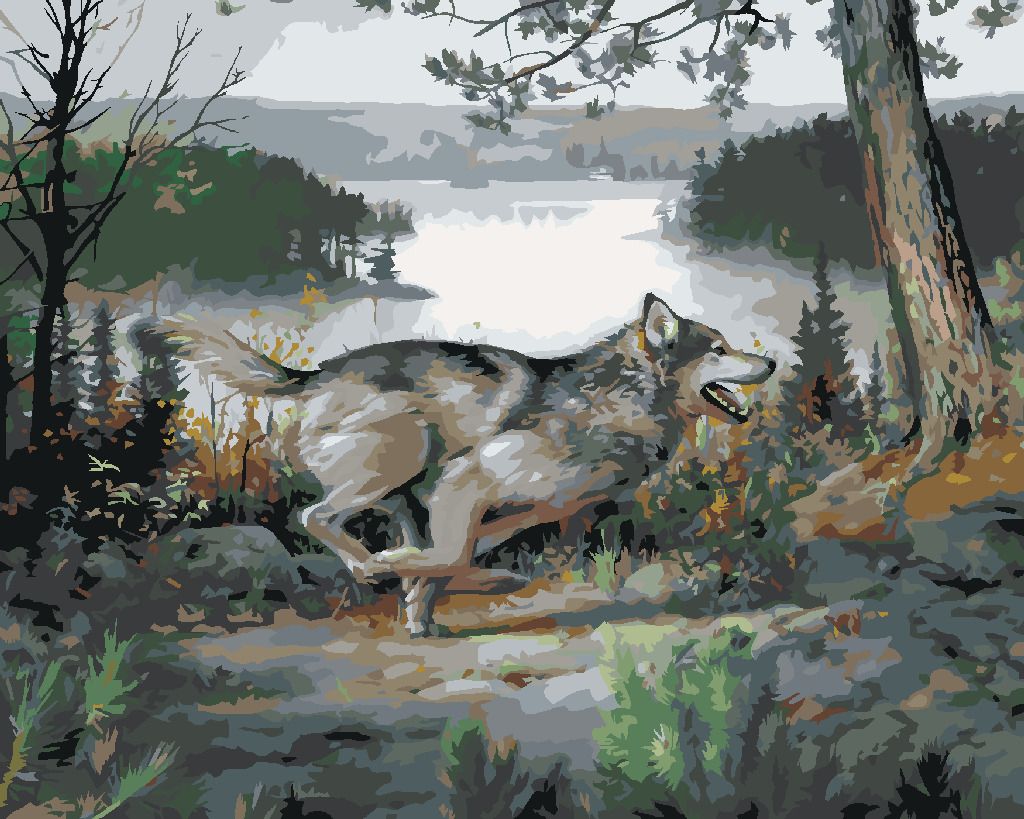zuty Malování podle čísel - VLK V BĚHU, RYBNÍK A STROMY (JOE HAUTMAN) - Rozměr: 40x50 cm, Rámování: Varianta: bez rámu a bez vypnutí plátna - obrázek 10