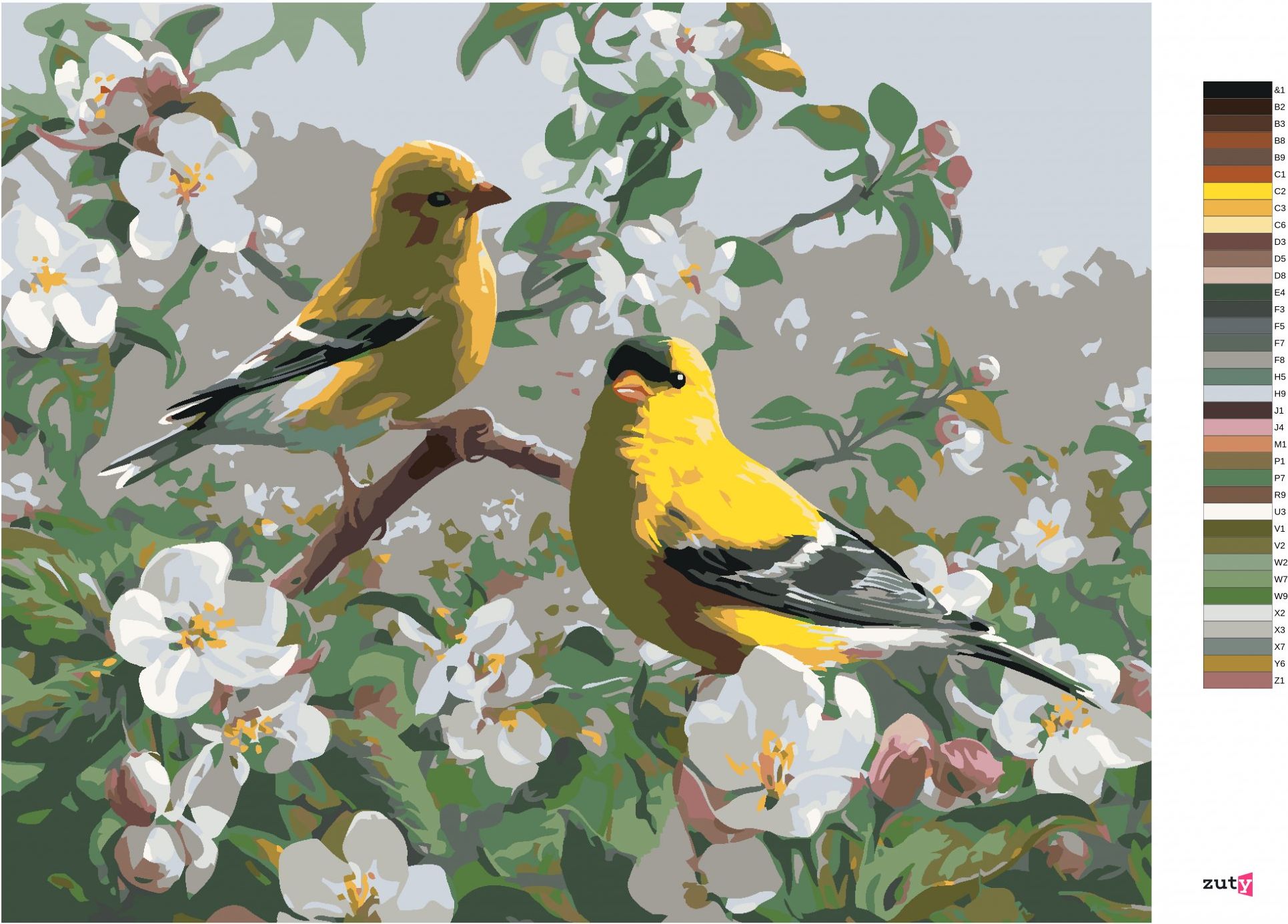 zuty Malování podle čísel - PTÁK STEHLÍK A BÍLÉ ROZKVETLÁ VĚTEV (JOE HAUTMAN) - Rozměr: 40x50 cm, Rámování: Varianta: vypnuté plátno na rám - obrázek 4