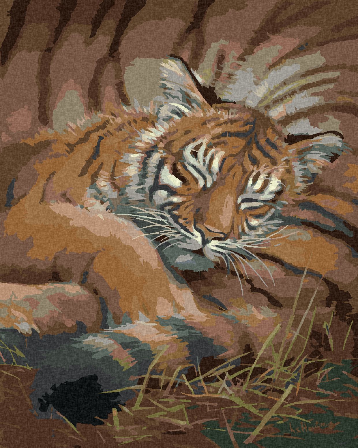 zuty Malování podle čísel – SPÍCÍ MLÁDĚ TYGRA (JOE HAUTMAN) - Rozměr: 40x50 cm, Rámování: Varianta: vypnuté plátno na rám - obrázek 1