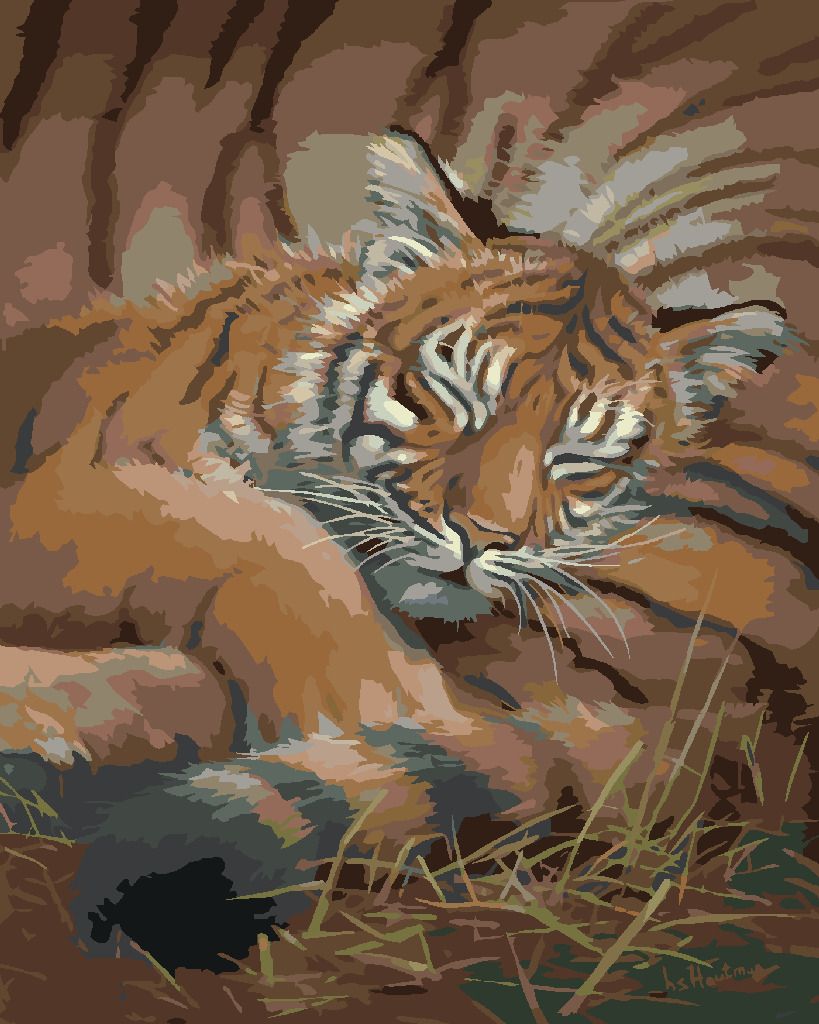 zuty Malování podle čísel – SPÍCÍ MLÁDĚ TYGRA (JOE HAUTMAN) - Rozměr: 40x50 cm, Rámování: Varianta: vypnuté plátno na rám - obrázek 5
