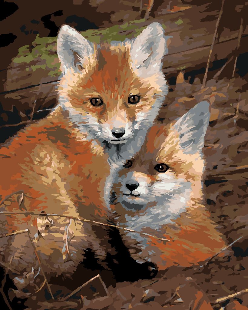 zuty Malování podle čísel – MLÁĎATA LIŠKY (JOE HAUTMAN) - Rozměr: 40x50 cm, Rámování: Varianta: bez rámu a bez vypnutí plátna - obrázek 9
