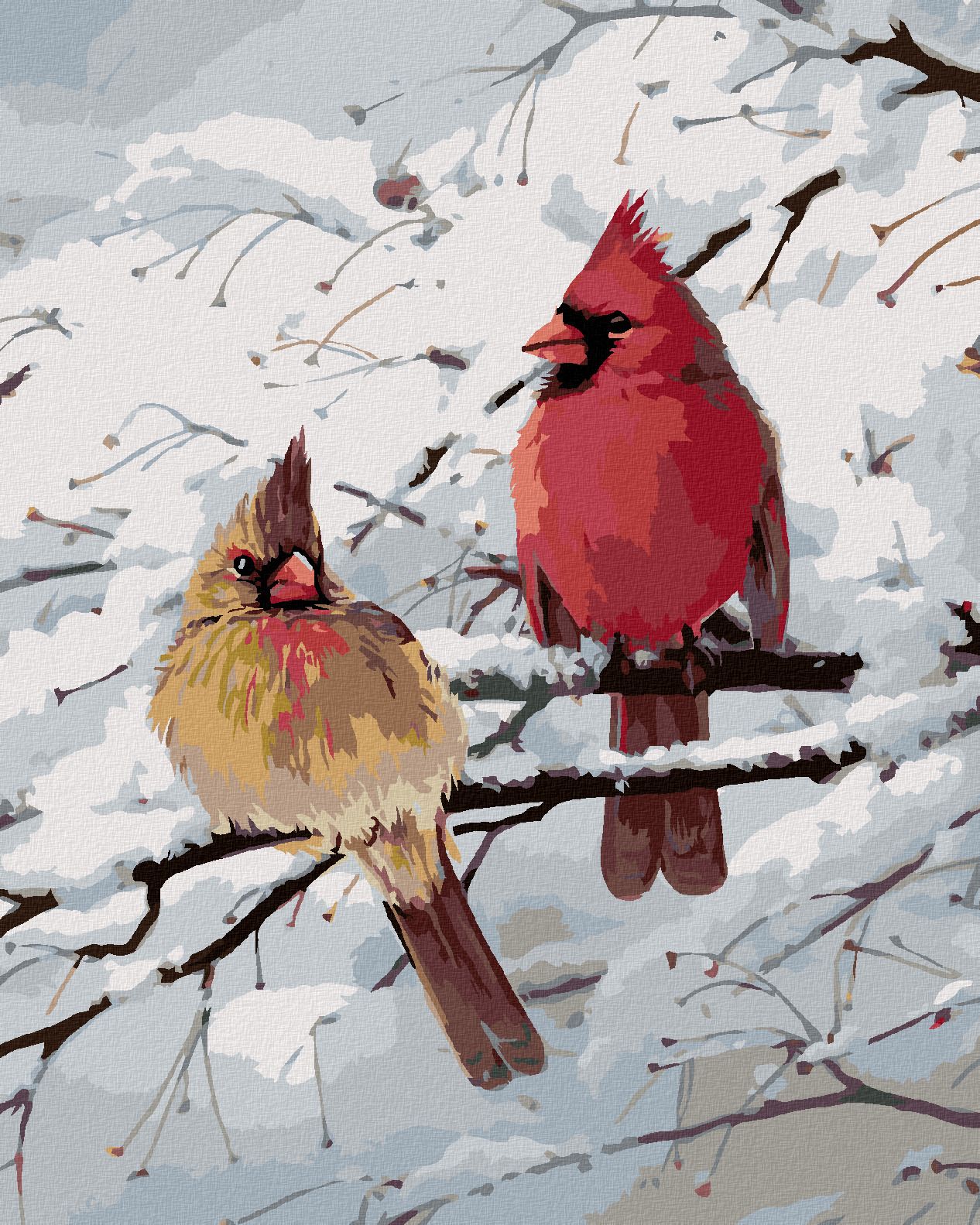 zuty Malování podle čísel – PTÁK KARDINÁL A ZASNĚŽENÁ VĚTEV (JOE HAUTMAN) - Rozměr: 40x50 cm, Rámování: Varianta: bez rámu a bez vypnutí plátna - obrázek 1