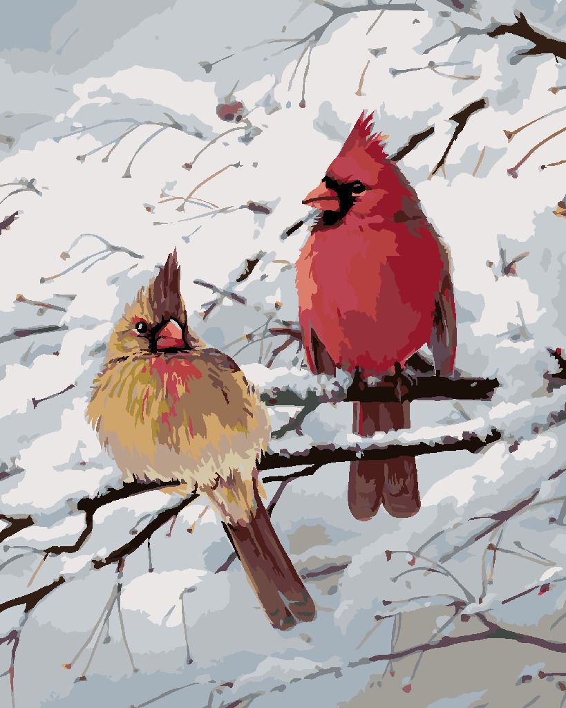 zuty Malování podle čísel – PTÁK KARDINÁL A ZASNĚŽENÁ VĚTEV (JOE HAUTMAN) - Rozměr: 40x50 cm, Rámování: Varianta: bez rámu a bez vypnutí plátna - obrázek 5