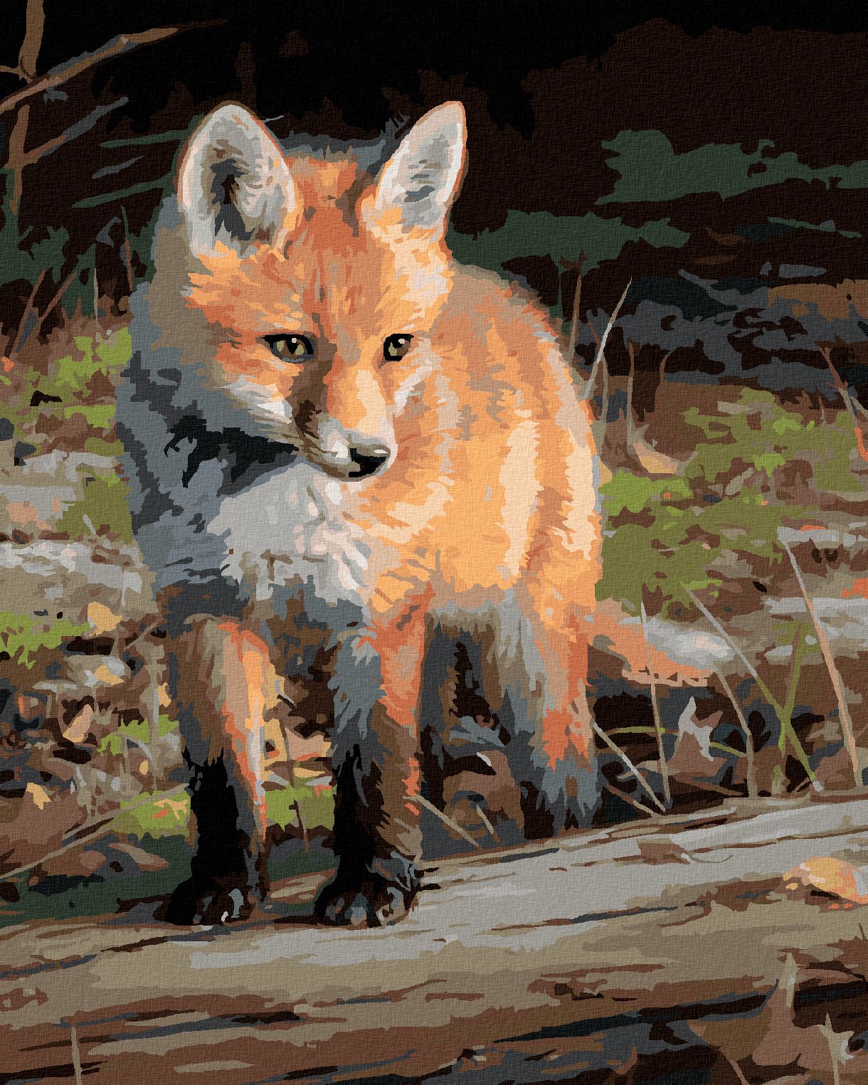 zuty Malování podle čísel – MLÁDĚ LIŠKY (JOE HAUTMAN) - Rozměr: 40x50 cm, Rámování: Varianta: bez rámu a bez vypnutí plátna - obrázek 1