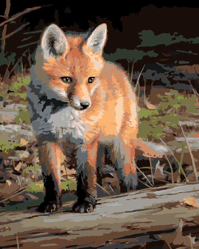 zuty Malování podle čísel – MLÁDĚ LIŠKY (JOE HAUTMAN) - Rozměr: 40x50 cm, Rámování: Varianta: bez rámu a bez vypnutí plátna - obrázek 8