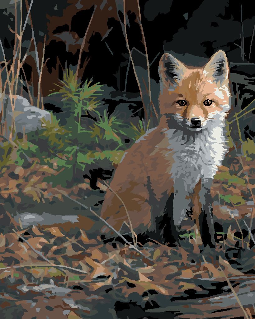 zuty Malování podle čísel – SEDÍCÍ MLÁDĚ LIŠKY (JOE HAUTMAN) - Rozměr: 40x50 cm, Rámování: Varianta: bez rámu a bez vypnutí plátna - obrázek 8