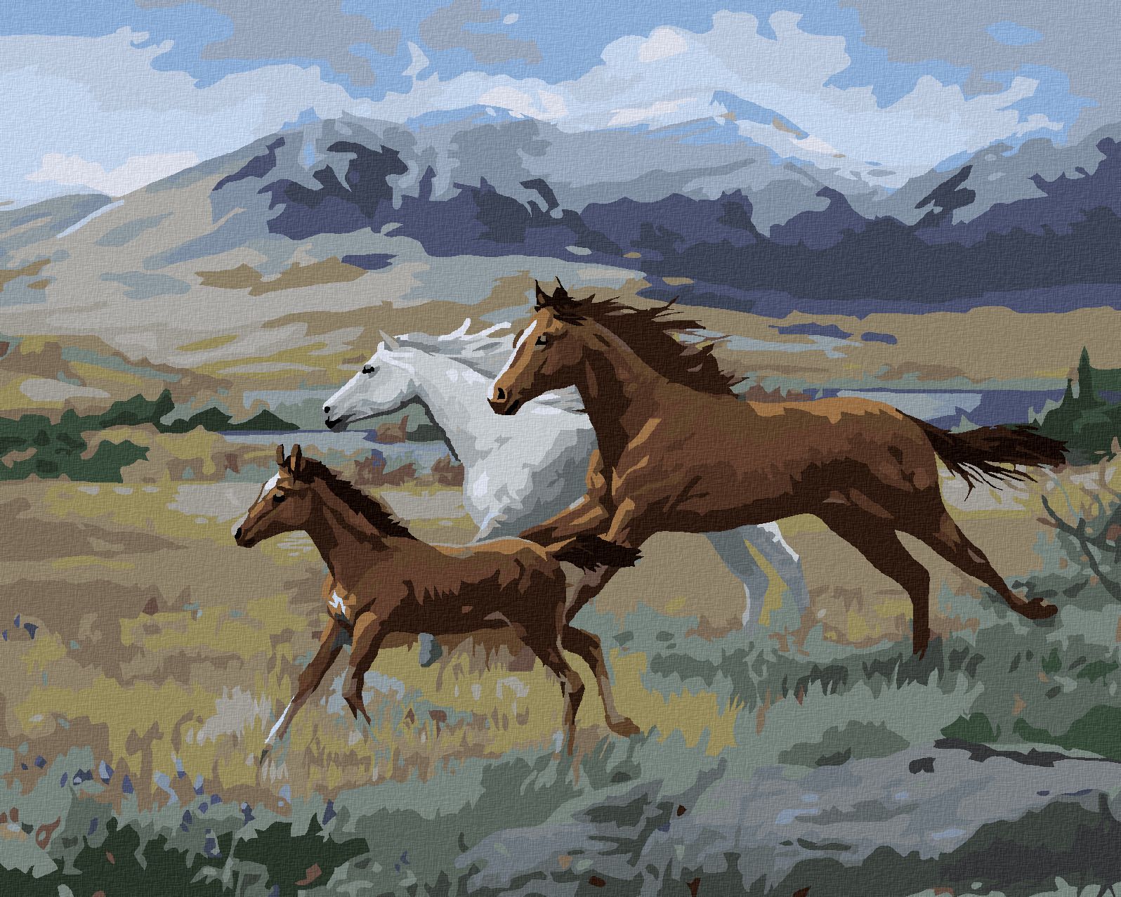zuty Malování podle čísel – BĚŽÍCÍ KONĚ, HŘÍBĚ A HORY (JOE HAUTMAN) - Rozměr: 40x50 cm, Rámování: Varianta: bez rámu a bez vypnutí plátna - obrázek 1