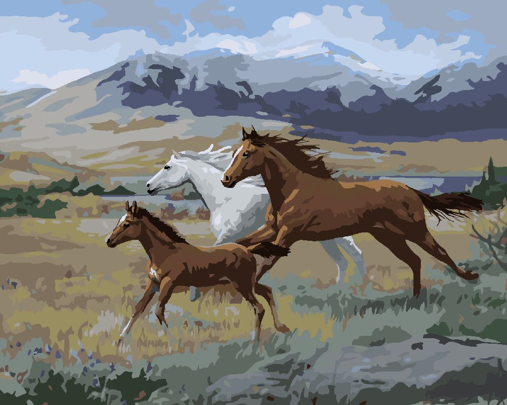 zuty Malování podle čísel – BĚŽÍCÍ KONĚ, HŘÍBĚ A HORY (JOE HAUTMAN) - Rozměr: 40x50 cm, Rámování: Varianta: vypnuté plátno na rám - obrázek 8