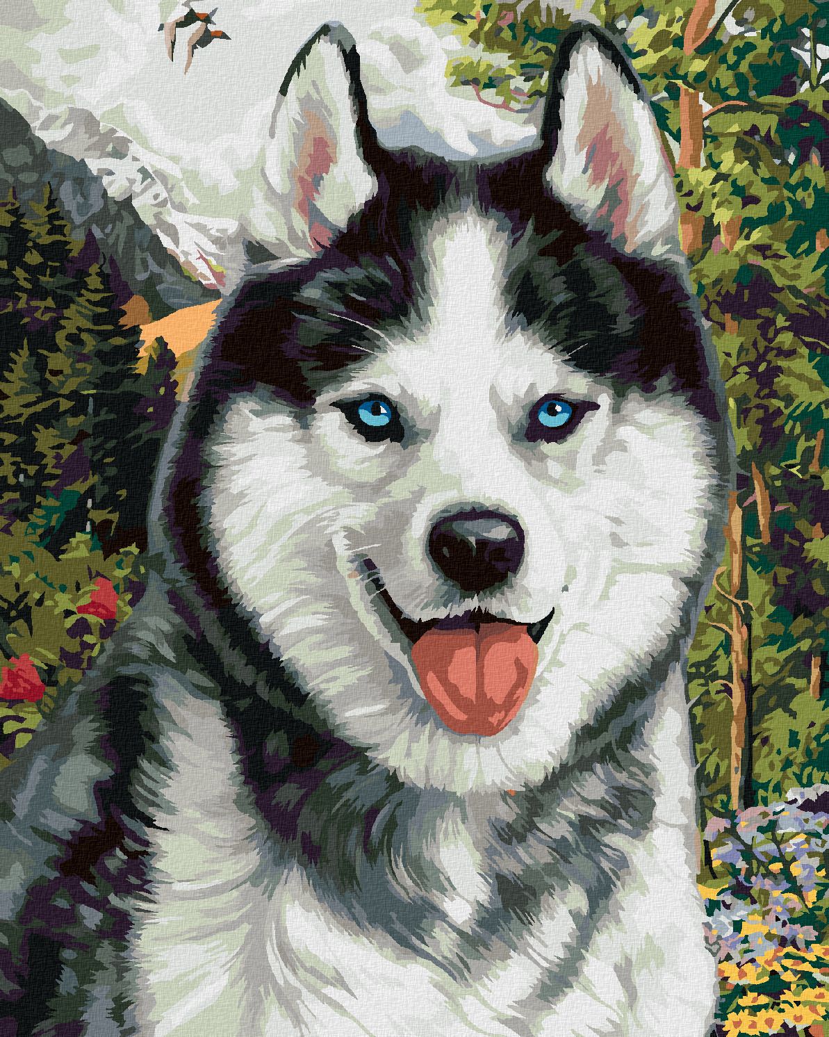 zuty Malování podle čísel - HUSKY (IMAGE WORLD-AP) - Rozměr: 40x50 cm, Rámování: Varianta: bez rámu a bez vypnutí plátna - obrázek 1