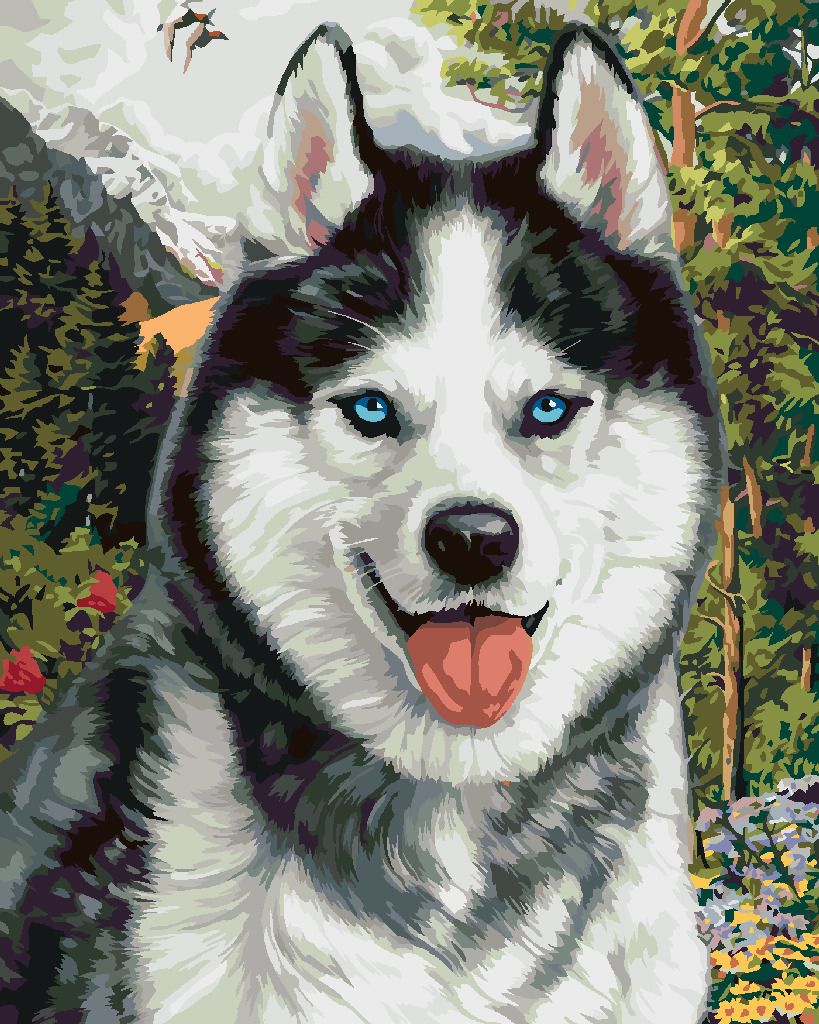 zuty Malování podle čísel - HUSKY (IMAGE WORLD-AP) - Rozměr: 40x50 cm, Rámování: Varianta: bez rámu a bez vypnutí plátna - obrázek 6
