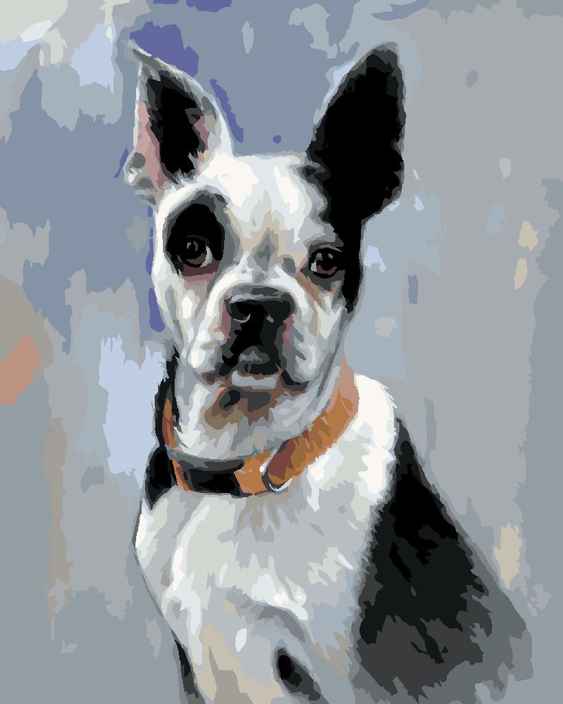 zuty Malování podle čísel - BÍLOČERNÝ ANGLICKÝ BULLDOG (JIM KILLEN) - Rozměr: 40x50 cm, Rámování: Varianta: vypnuté plátno na rám - obrázek 4