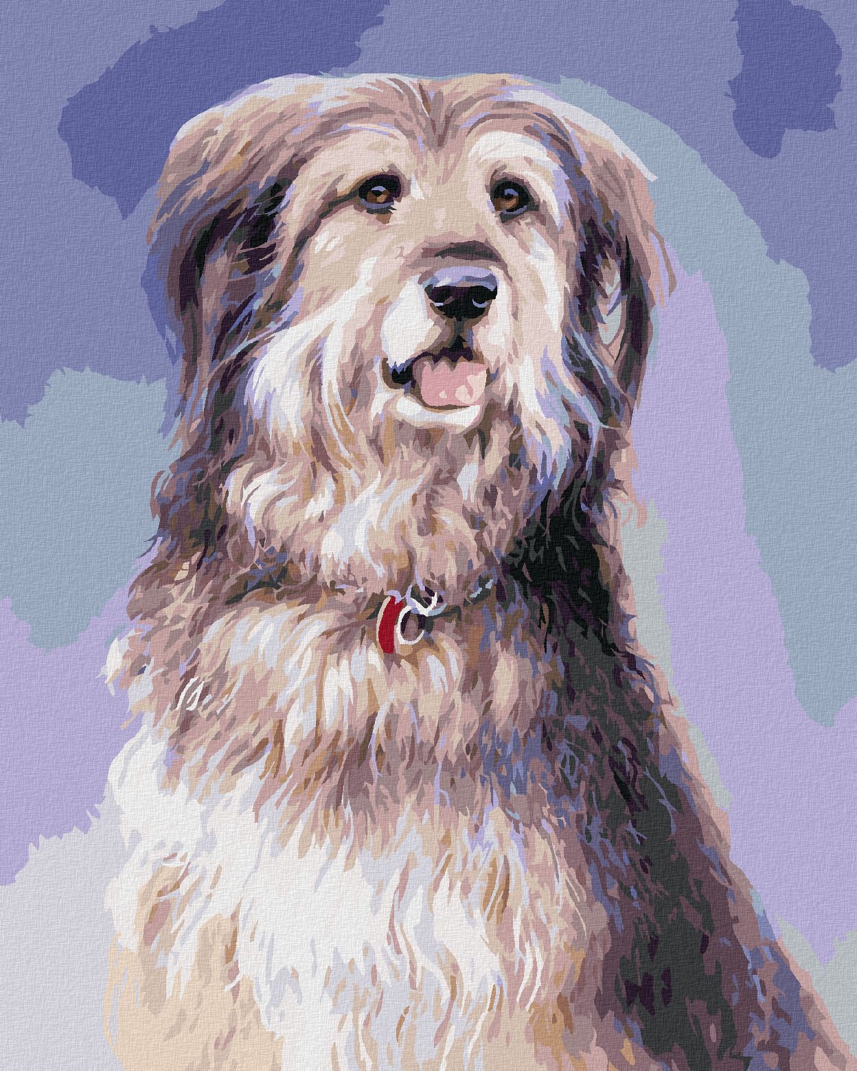 zuty Malování podle čísel – DLOUHOSRSTÝ PES (JIM KILLEN) - Rozměr: 40x50 cm, Rámování: Varianta: vypnuté plátno na rám - obrázek 1