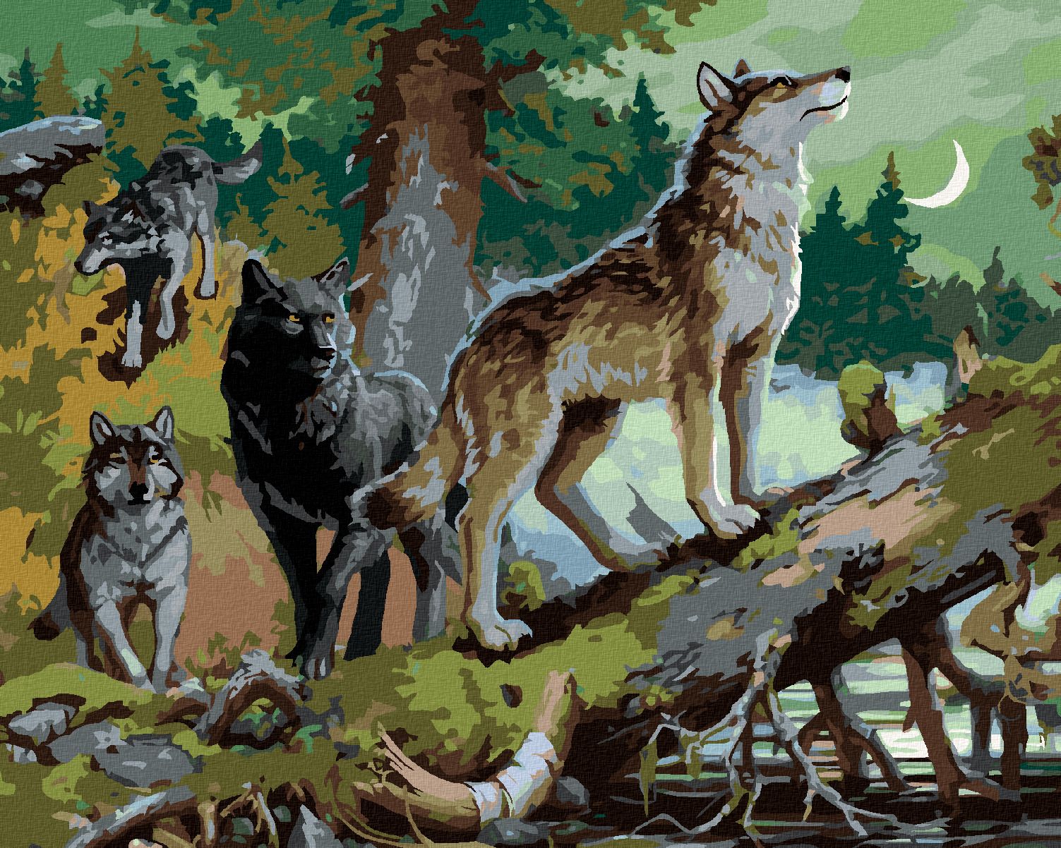 zuty Malování podle čísel - SMEČKA VLKŮ (IMAGE WORLD-RC) - Rozměr: 40x50 cm, Rámování: Varianta: bez rámu a bez vypnutí plátna - obrázek 1