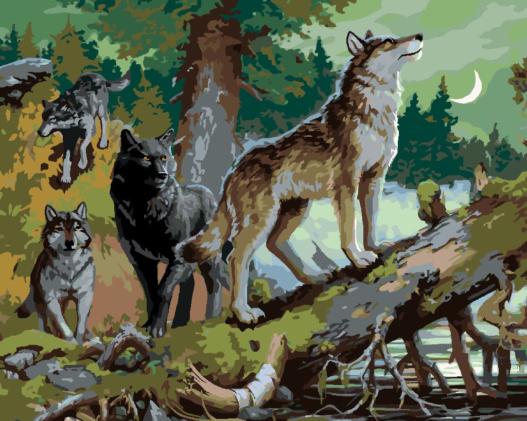 zuty Malování podle čísel - SMEČKA VLKŮ (IMAGE WORLD-RC) - Rozměr: 40x50 cm, Rámování: Varianta: bez rámu a bez vypnutí plátna - obrázek 10