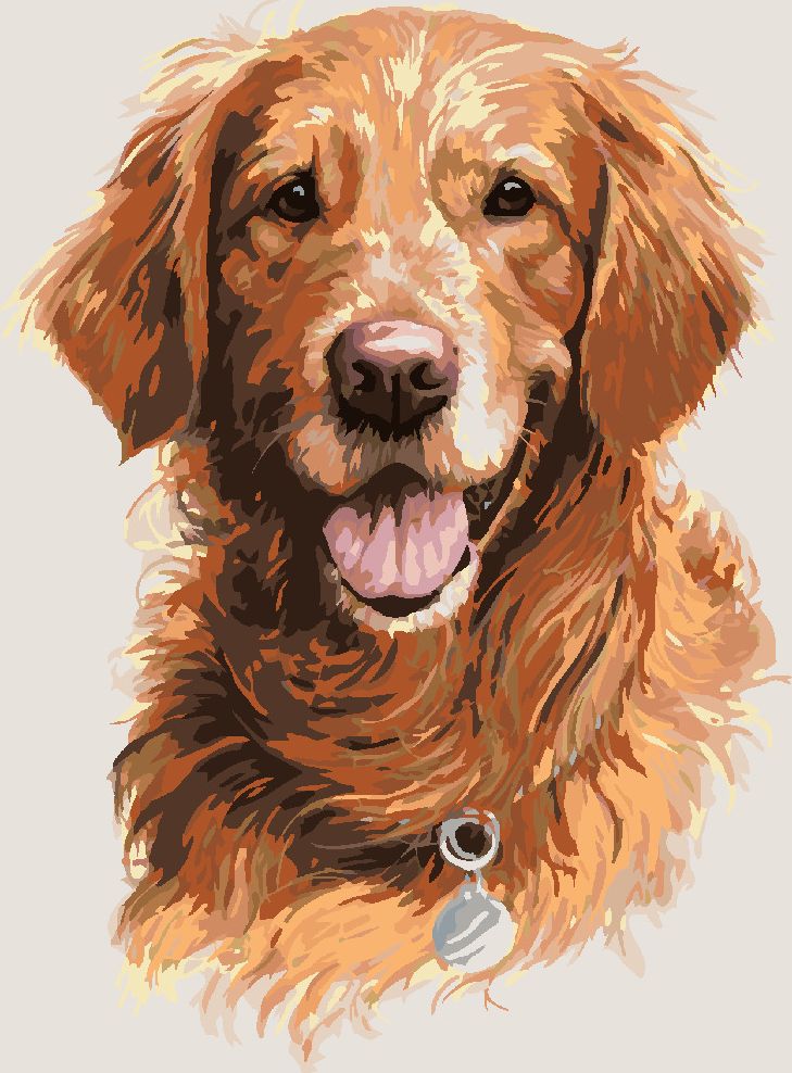 zuty Malování podle čísel - ZLATÝ RETRÍVR SE ZNÁMKOU (JIM KILLEN) - Rozměr: 40x50 cm, Rámování: Varianta: vypnuté plátno na rám - obrázek 8