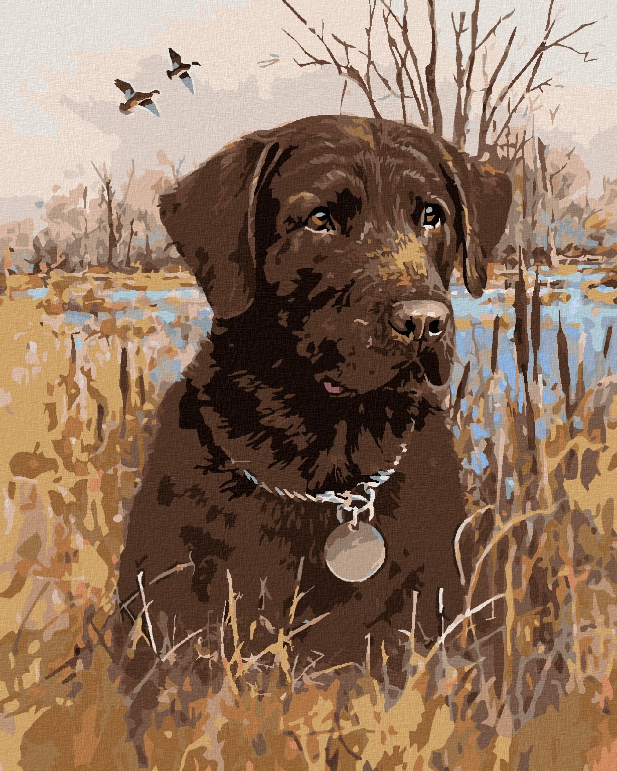 zuty Malování podle čísel - HNĚDÝ LABRADOR V RÁKOSÍ U RYBNÍKA (JIM KILLEN) - Rozměr: 40x50 cm, Rámování: Varianta: vypnuté plátno na rám - obrázek 1