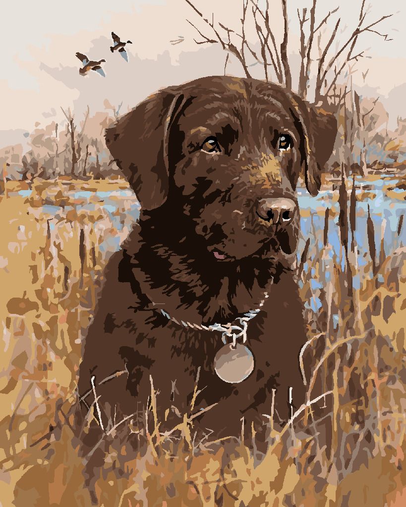 zuty Malování podle čísel - HNĚDÝ LABRADOR V RÁKOSÍ U RYBNÍKA (JIM KILLEN) - Rozměr: 40x50 cm, Rámování: Varianta: vypnuté plátno na rám - obrázek 5