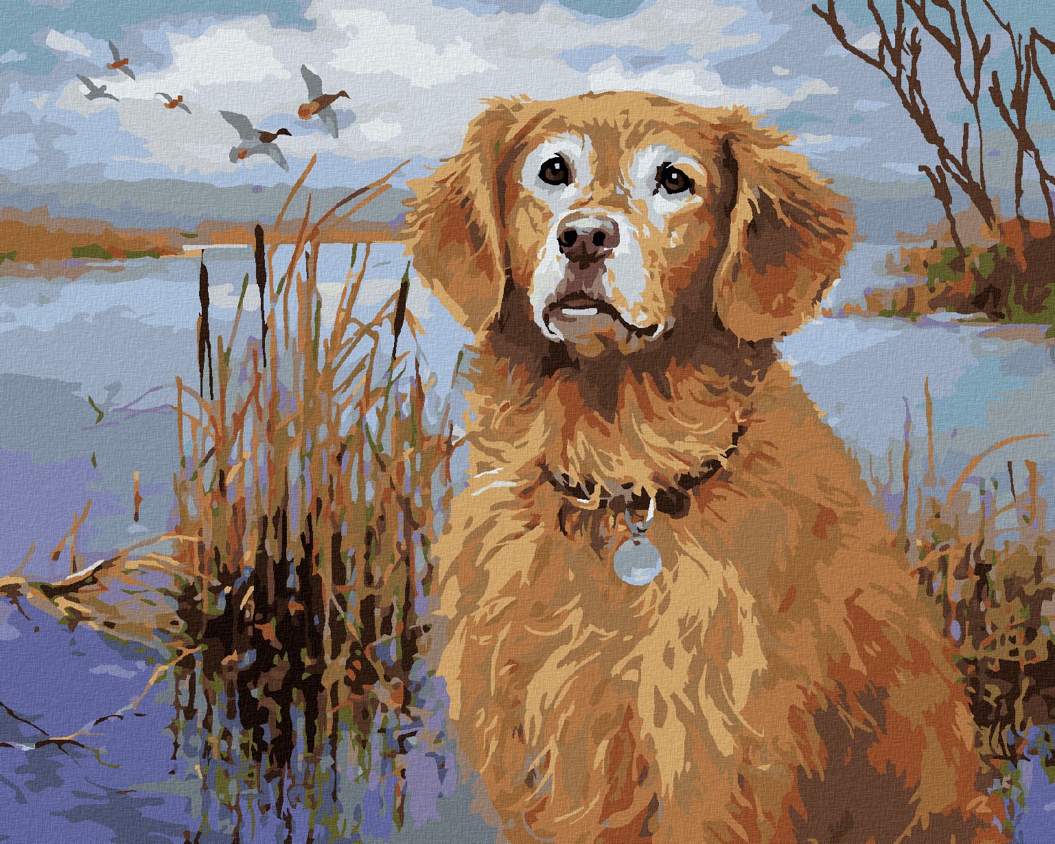 zuty Malování podle čísel - ZLATÝ RETRÍVR U RYBNÍKU A KACHNY (JIM KILLEN) - Rozměr: 40x50 cm, Rámování: Varianta: bez rámu a bez vypnutí plátna - obrázek 1