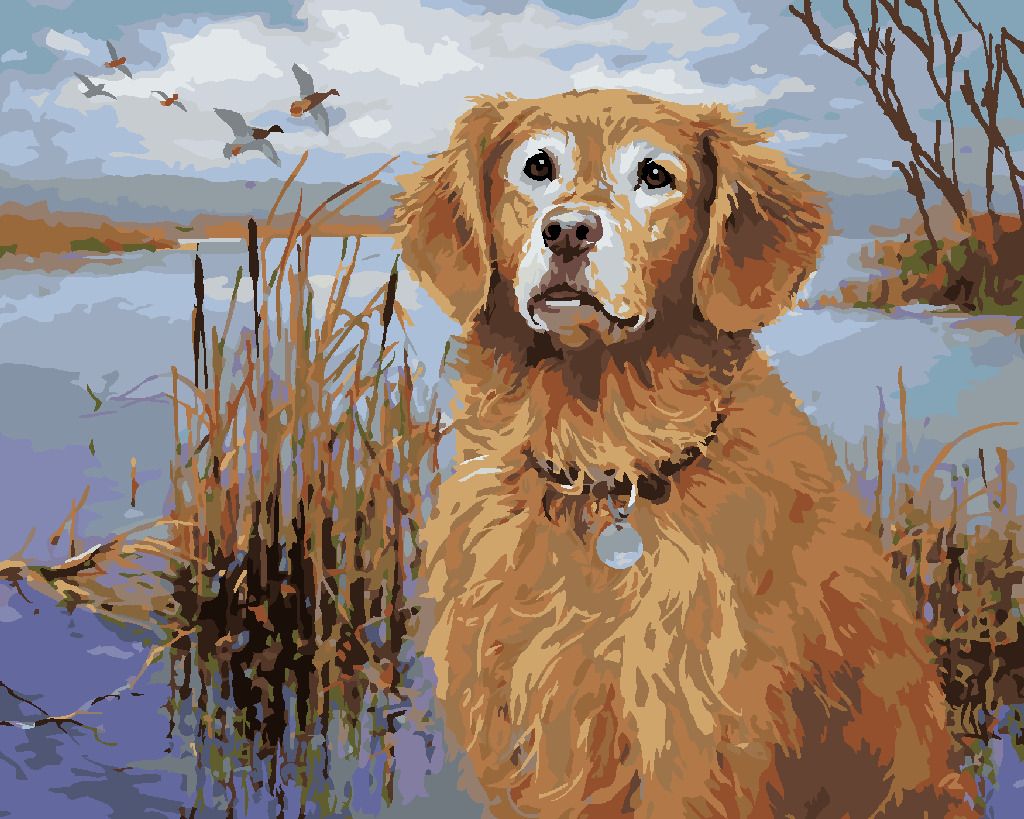 zuty Malování podle čísel - ZLATÝ RETRÍVR U RYBNÍKU A KACHNY (JIM KILLEN) - Rozměr: 40x50 cm, Rámování: Varianta: vypnuté plátno na rám - obrázek 9