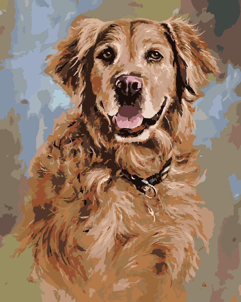 zuty Malování podle čísel - ZLATÝ RETRÍVR S HNĚDÝM OBOJKEM (JIM KILLEN) - Rozměr: 40x50 cm, Rámování: Varianta: bez rámu a bez vypnutí plátna - obrázek 10