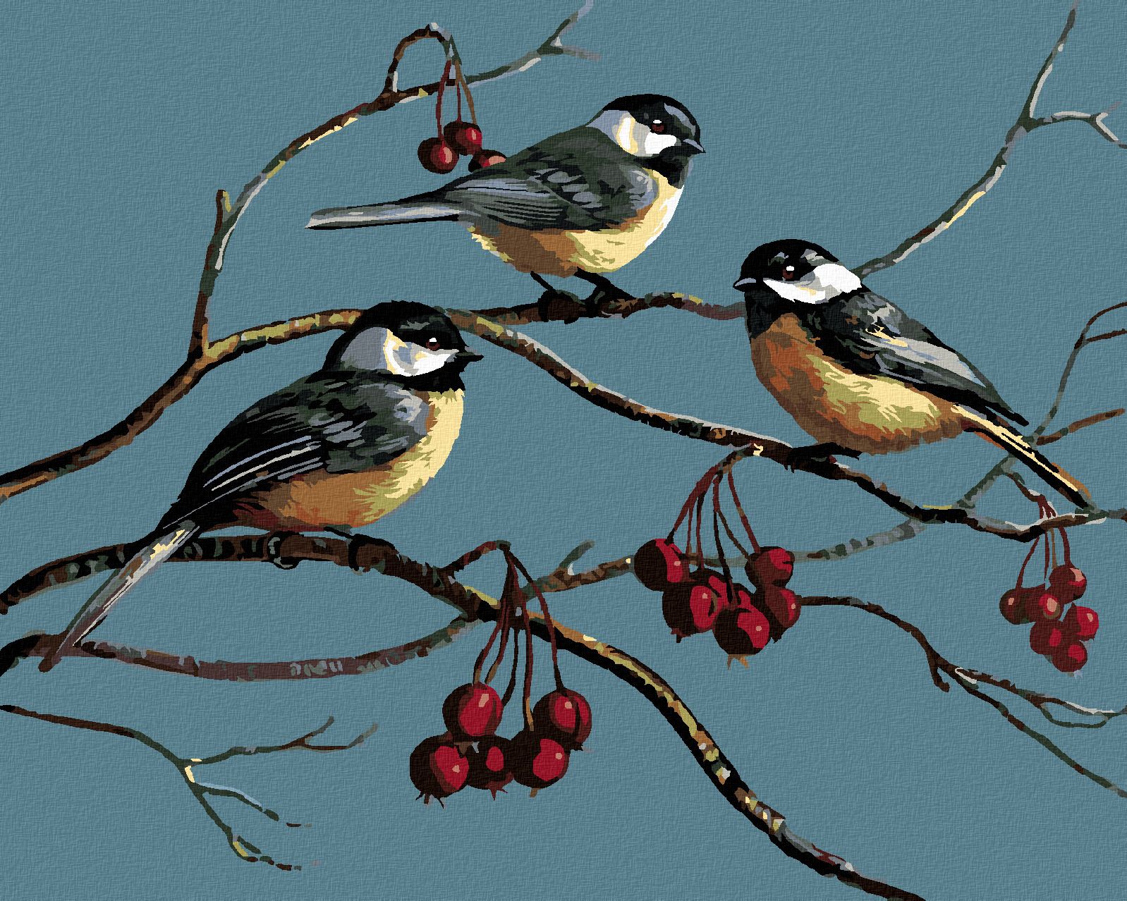 zuty Malování podle čísel - SÝKORKY NA VĚTVI A ZIMNÍ PLODY (JAMES MEGER) - Rozměr: 40x50 cm, Rámování: Varianta: vypnuté plátno na rám - obrázek 1