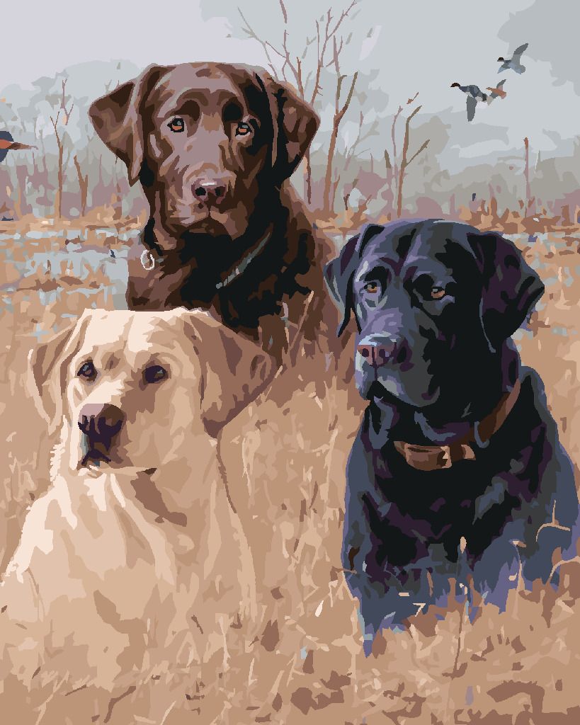 zuty Malování podle čísel - ZLATÝ, HNĚDÝ A ČERNÝ LABRADOR V RAKOSÍ U RYBNÍKA (JIM KILLEN) - Rozměr: 40x50 cm, Rámování: Varianta: bez rámu a bez vypnutí plátna - obrázek 5