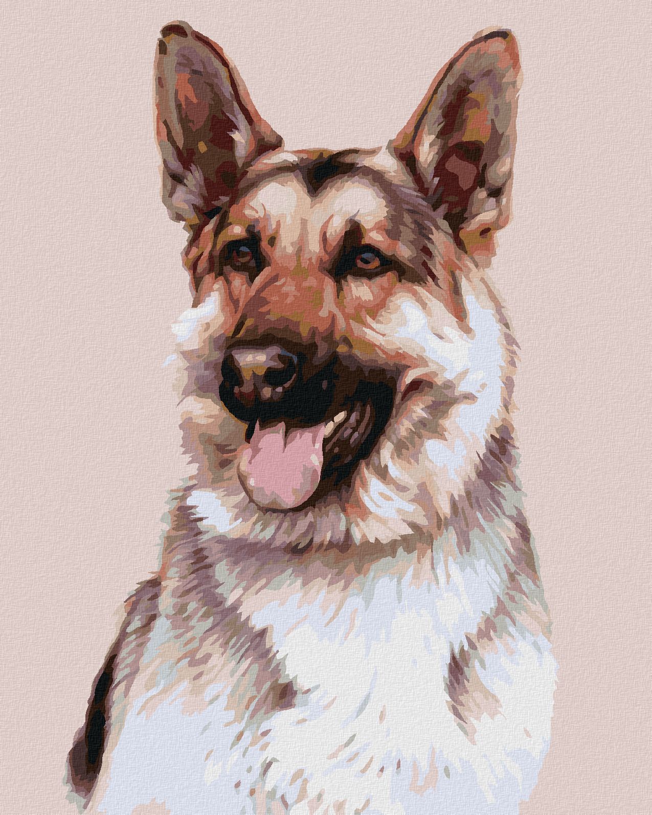 zuty Malování podle čísel - NĚMECKÝ OVČÁK (JIM KILLEN) - Rozměr: 40x50 cm, Rámování: Varianta: vypnuté plátno na rám - obrázek 1