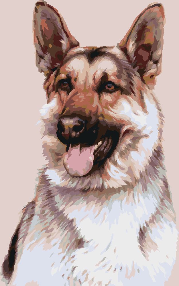 zuty Malování podle čísel - NĚMECKÝ OVČÁK (JIM KILLEN) - Rozměr: 40x50 cm, Rámování: Varianta: vypnuté plátno na rám - obrázek 7