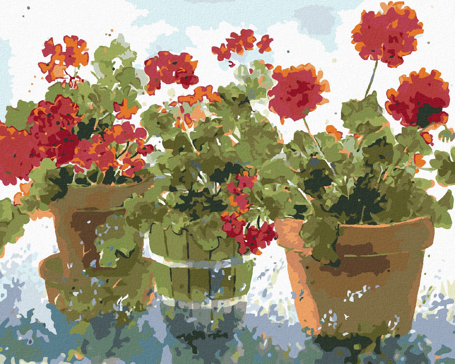 zuty Malování podle čísel – ČERVENÉ MUŠKÁTY (JUDY BUSWELL) - Rozměr: 40x50 cm, Rámování: Varianta: vypnuté plátno na rám - obrázek 1