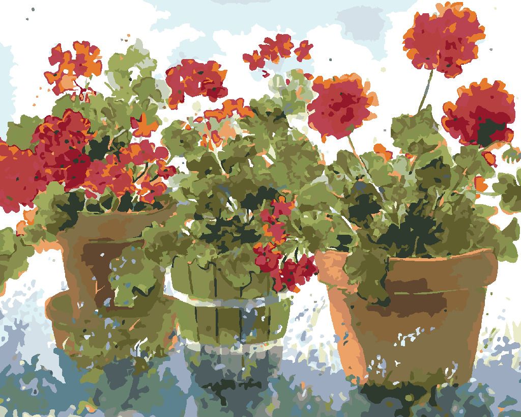 zuty Malování podle čísel – ČERVENÉ MUŠKÁTY (JUDY BUSWELL) - Rozměr: 40x50 cm, Rámování: Varianta: vypnuté plátno na rám - obrázek 5
