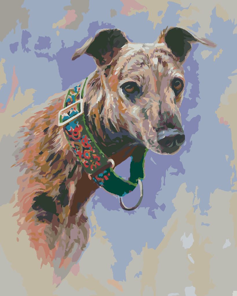 zuty Malování podle čísel - CHRT SE ZELENÝM OBOJKEM (JIM KILLEN) - Rozměr: 40x50 cm, Rámování: Varianta: vypnuté plátno na rám - obrázek 3