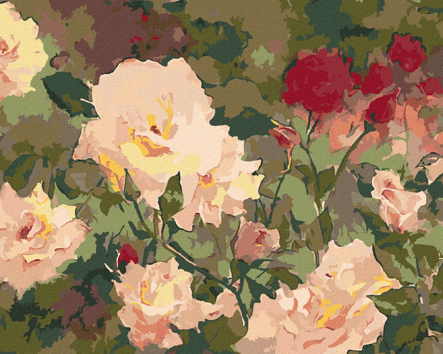 zuty Malování podle čísel – BÍLÉ A ČERVENÉ RŮŽE (JUDY BUSWELL) - Rozměr: 40x50 cm, Rámování: Varianta: vypnuté plátno na rám - obrázek 1
