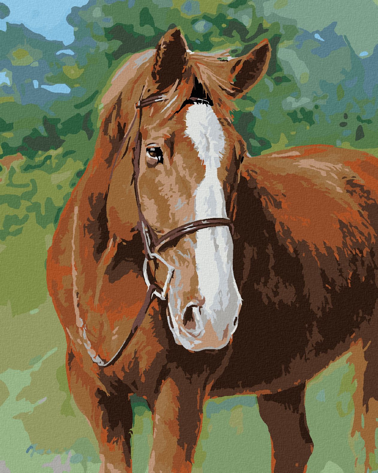 zuty Malování podle čísel – REZAVÝ KŮŇ S UZDEČKOU (JIM KILLEN) - Rozměr: 40x50 cm, Rámování: Varianta: bez rámu a bez vypnutí plátna - obrázek 1