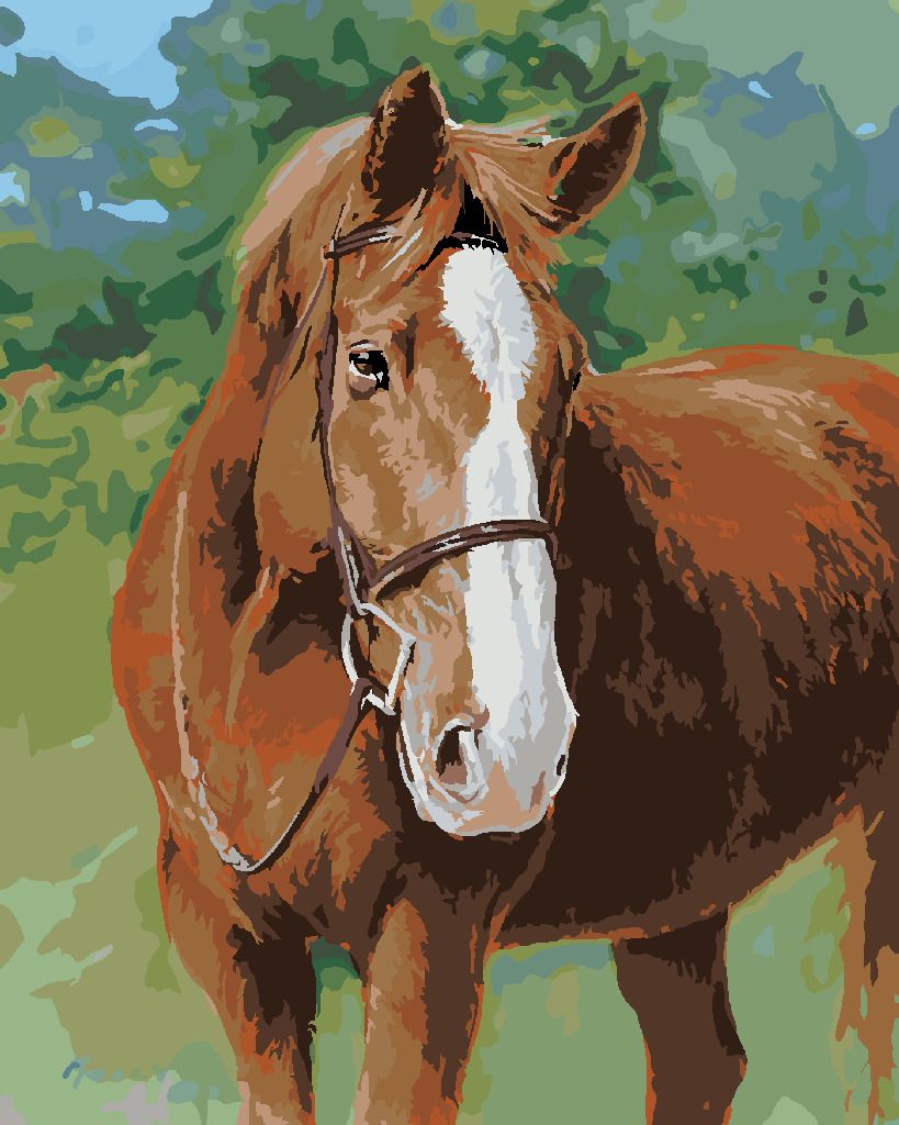 zuty Malování podle čísel – REZAVÝ KŮŇ S UZDEČKOU (JIM KILLEN) - Rozměr: 40x50 cm, Rámování: Varianta: bez rámu a bez vypnutí plátna - obrázek 6