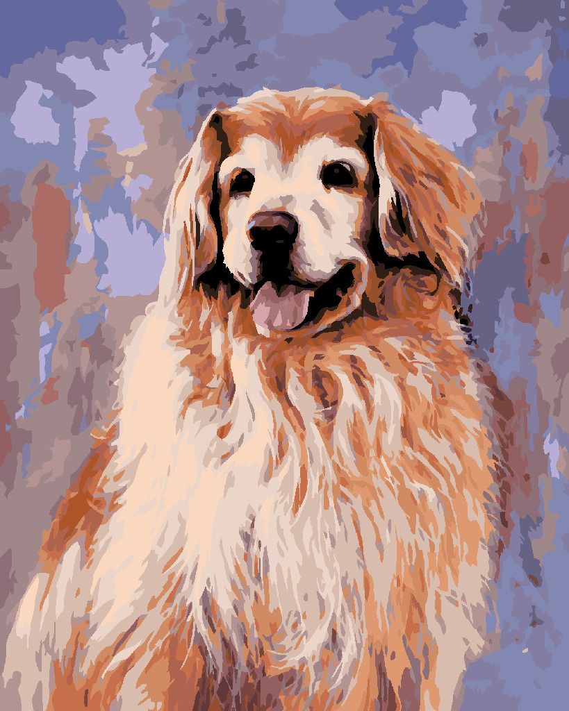 zuty Malování podle čísel - STARÝ ZLATÝ RETRÍVR (JIM KILLEN) - Rozměr: 40x50 cm, Rámování: Varianta: vypnuté plátno na rám - obrázek 9