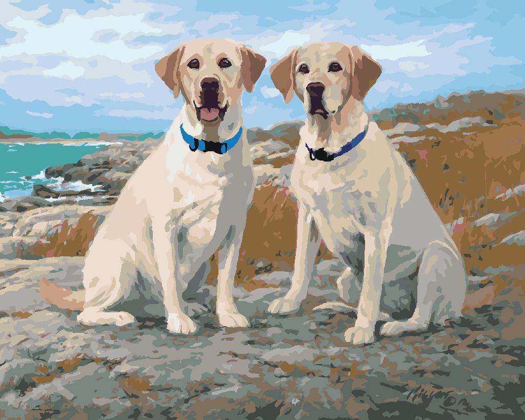 zuty Malování podle čísel - ZLATÍ LABRADOŘI NA POBŘEŽÍ (JIM KILLEN) - Rozměr: 40x50 cm, Rámování: Varianta: vypnuté plátno na rám - obrázek 3