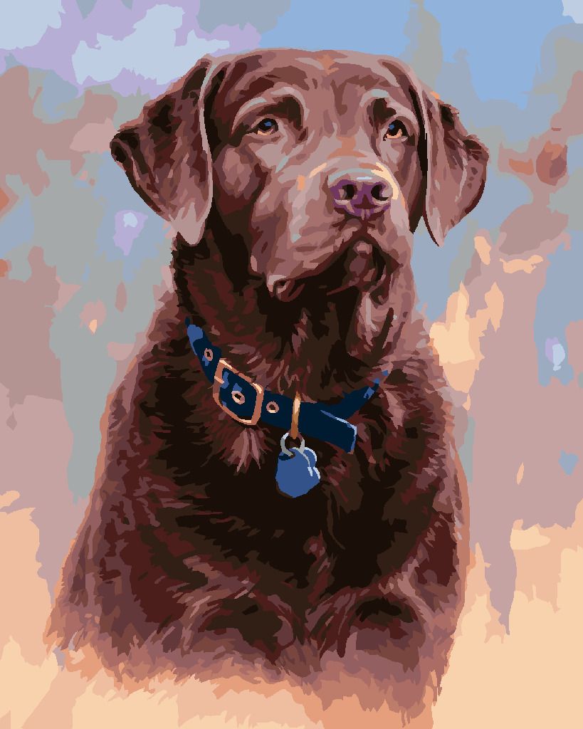 zuty Malování podle čísel - HNĚDÝ LABRADOR S MODRÝM OBOJKEM (JIM KILLEN) - Rozměr: 40x50 cm, Rámování: Varianta: vypnuté plátno na rám - obrázek 8