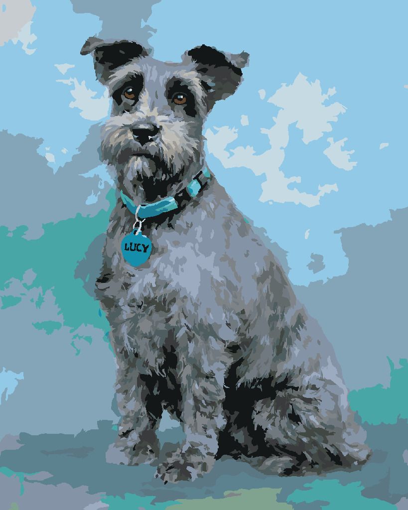 zuty Malování podle čísel – KNÍRAČ S MODRÝM OBOJKEM (JIM KILLEN) - Rozměr: 40x50 cm, Rámování: Varianta: vypnuté plátno na rám - obrázek 6