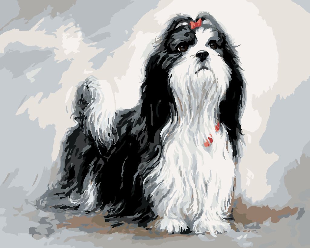 zuty Malování podle čísel – SHIH-TZU S ČERVENOU MAŠLÍ (JIM KILLEN) - Rozměr: 40x50 cm, Rámování: Varianta: vypnuté plátno na rám - obrázek 3