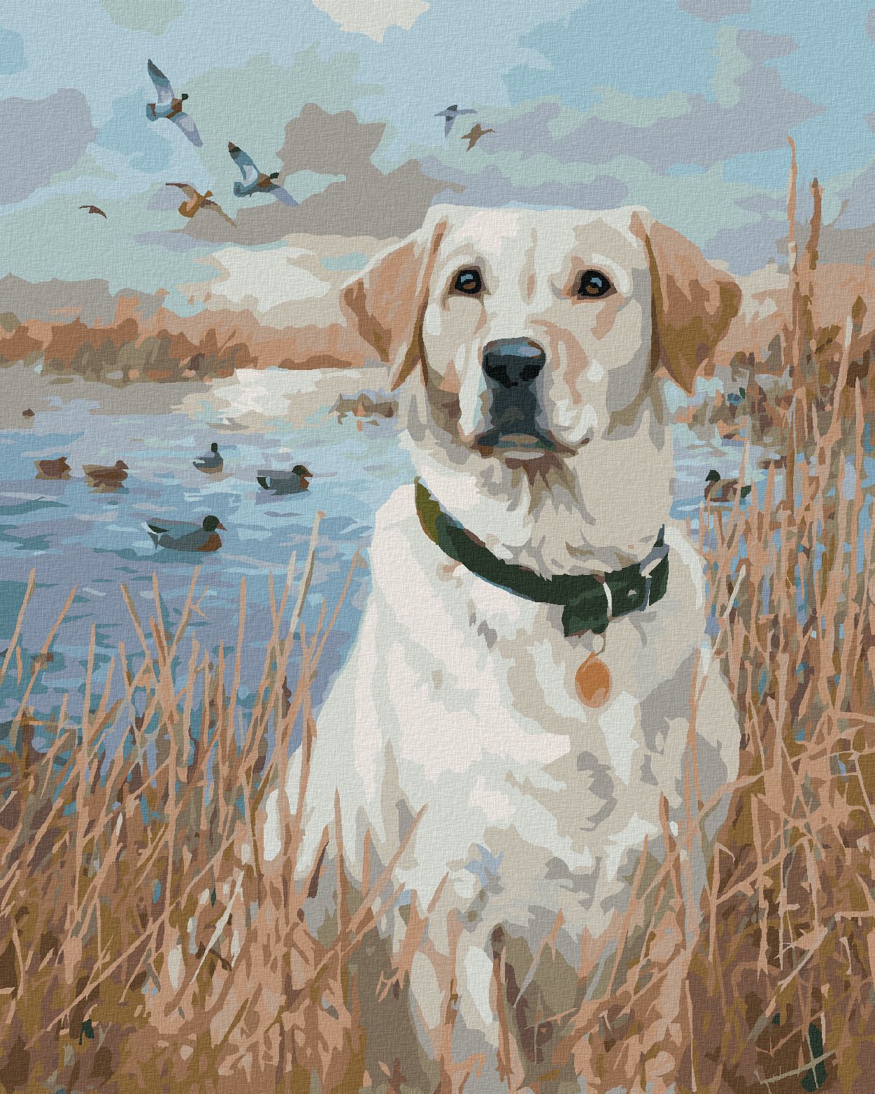 zuty Malování podle čísel - ZLATÝ LABRADOR V RÁKOSÍ U RYBNÍKA A KACHNY (JIM KILLEN) - Rozměr: 40x50 cm, Rámování: Varianta: vypnuté plátno na rám - obrázek 1