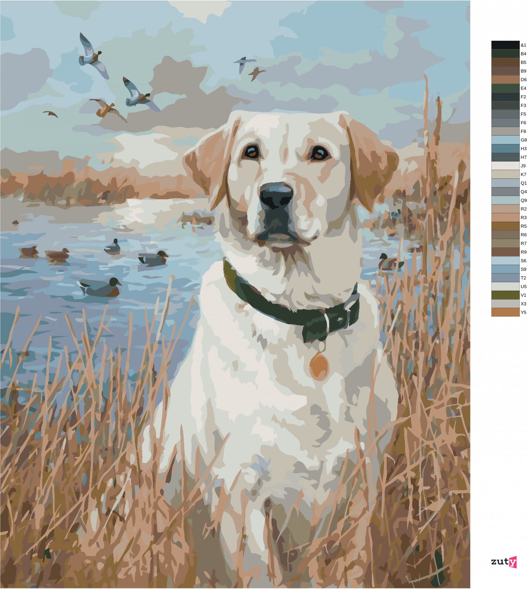 zuty Malování podle čísel - ZLATÝ LABRADOR V RÁKOSÍ U RYBNÍKA A KACHNY (JIM KILLEN) - Rozměr: 40x50 cm, Rámování: Varianta: vypnuté plátno na rám - obrázek 5