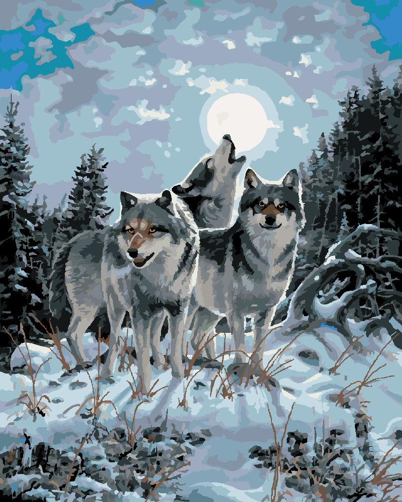 zuty Malování podle čísel - VLČÍ SMEČKA PŘI ÚPLŇKU (NORTHERN PROMOTIONS) - Rozměr: 40x50 cm, Rámování: Varianta: vypnuté plátno na rám - obrázek 6